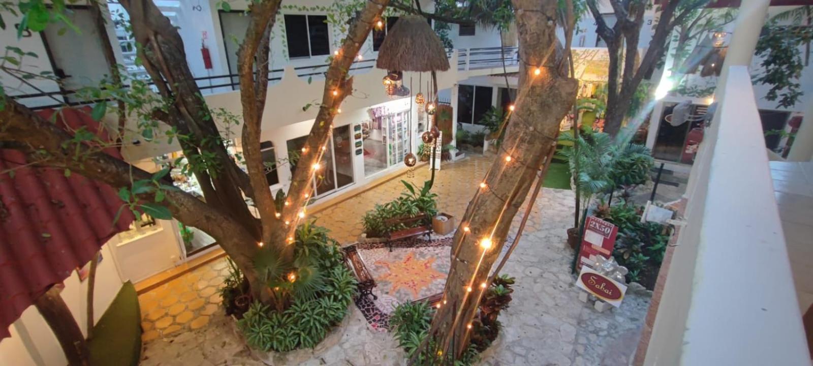 Ha Garden Gallery - 5th Avenue Playa del Carmen