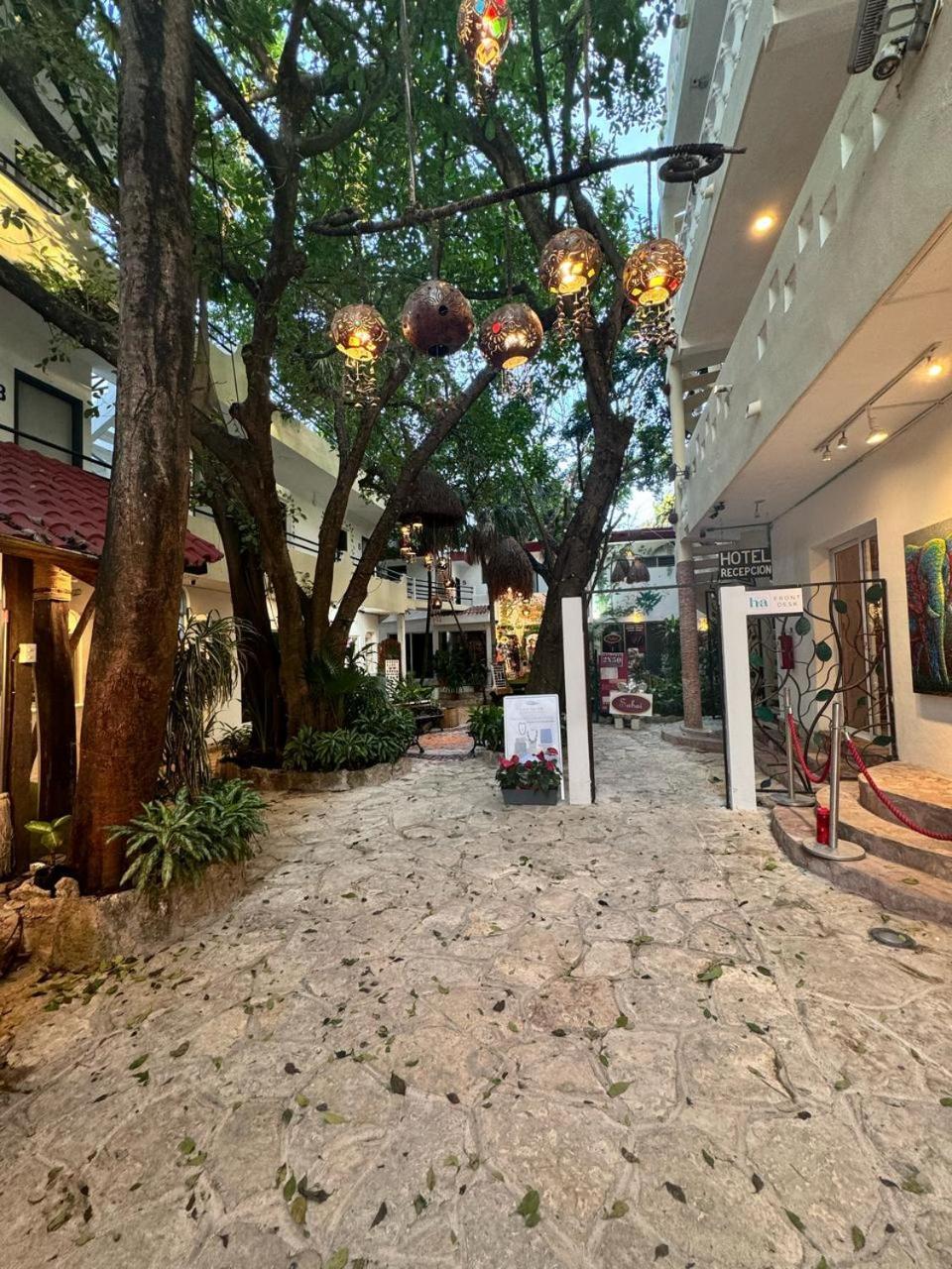 Ha Garden Gallery - 5th Avenue Hotel Playa del Carmen