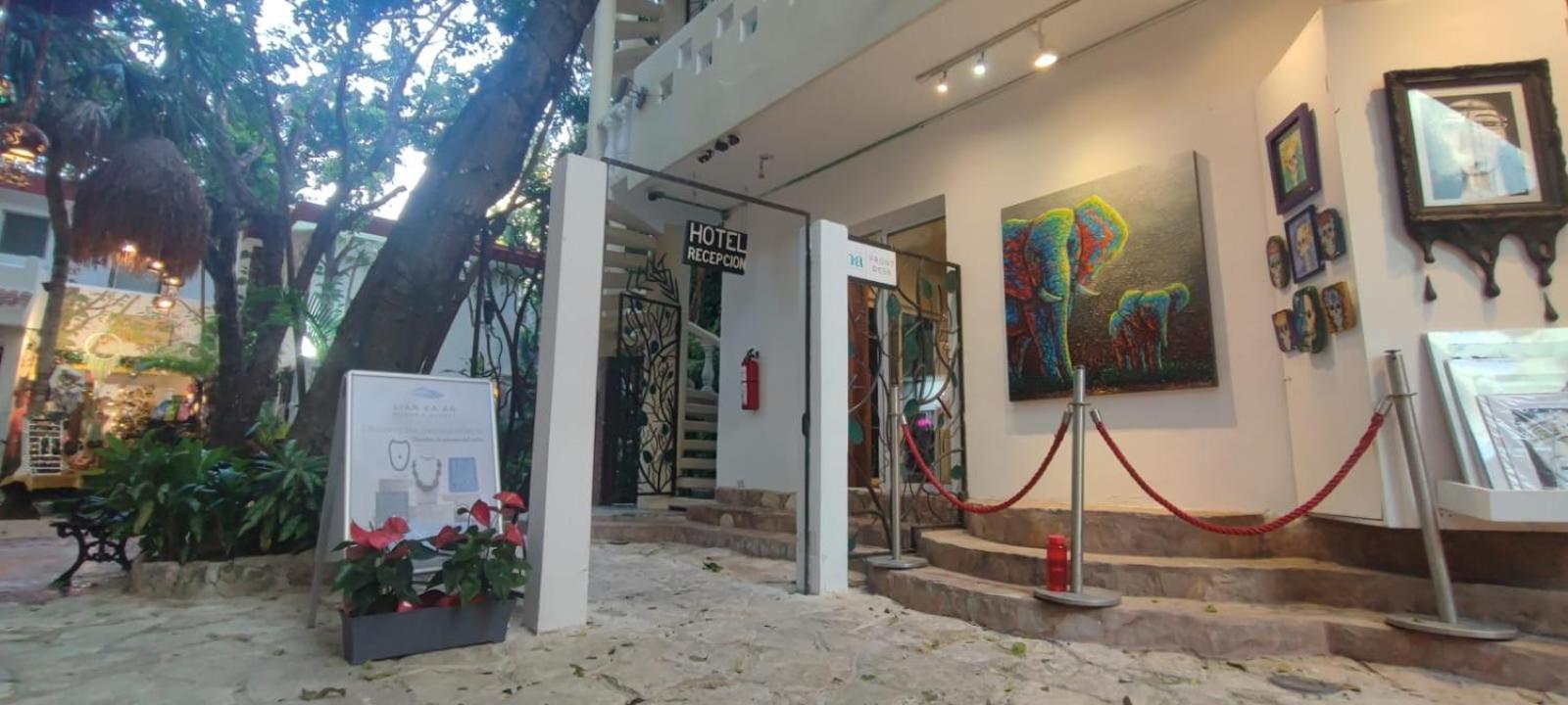 Ha Garden Gallery - 5th Avenue