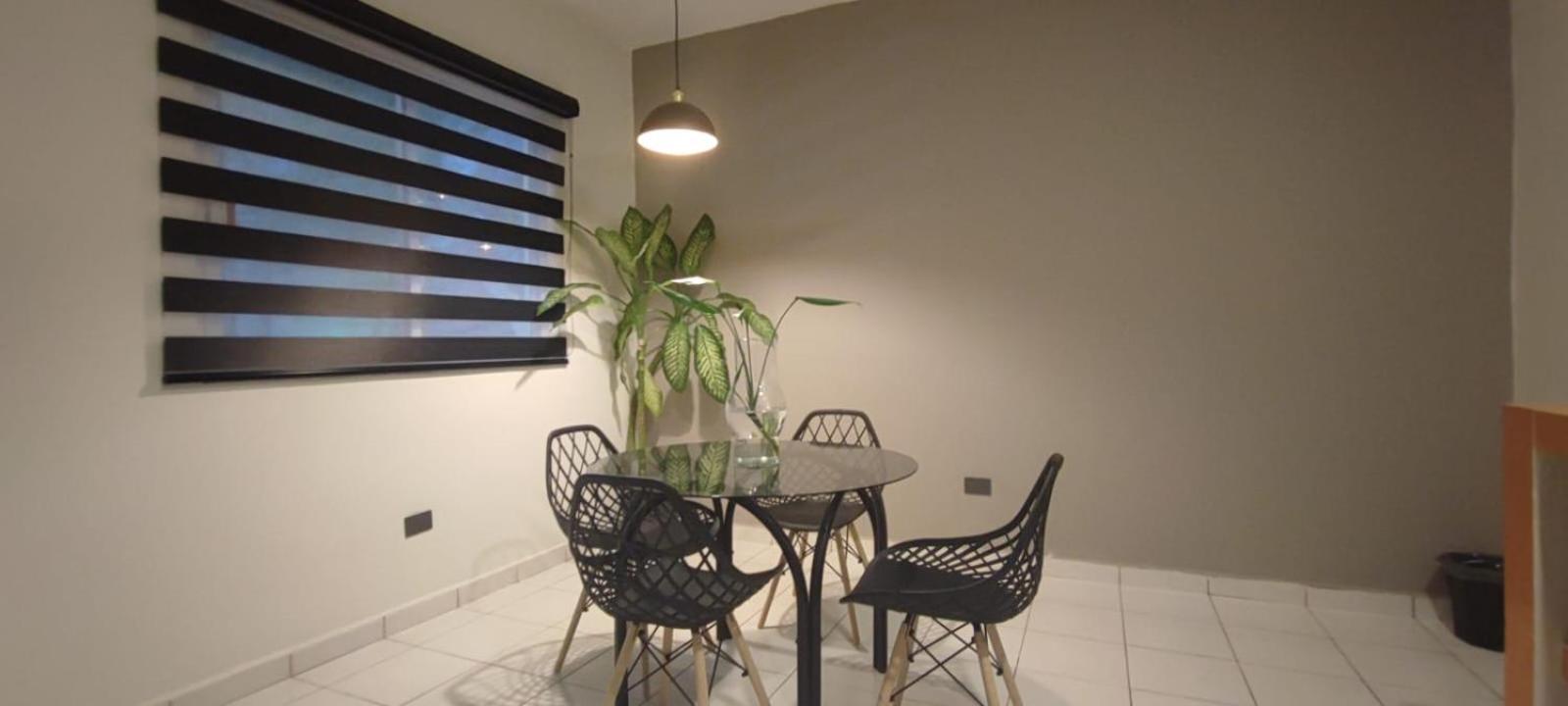 Ha Garden Gallery - 5th Avenue Playa del Carmen
