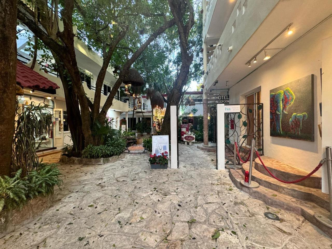 Ha Garden Gallery - 5th Avenue *